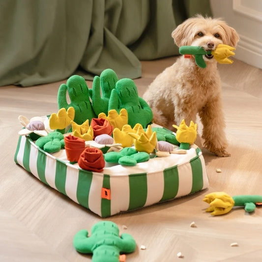 pet dog food leakage educational toys